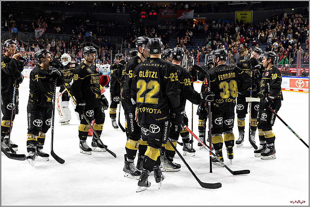 PENNY DEL;  Kölner Haie - ERC Ingolstadt; Köln, 25.11.2022